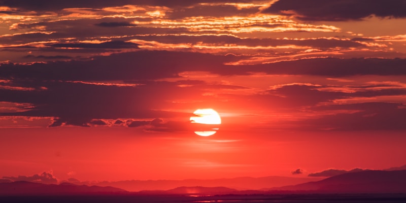 多场体育赛事同时在云端观赛大厅直播的界面